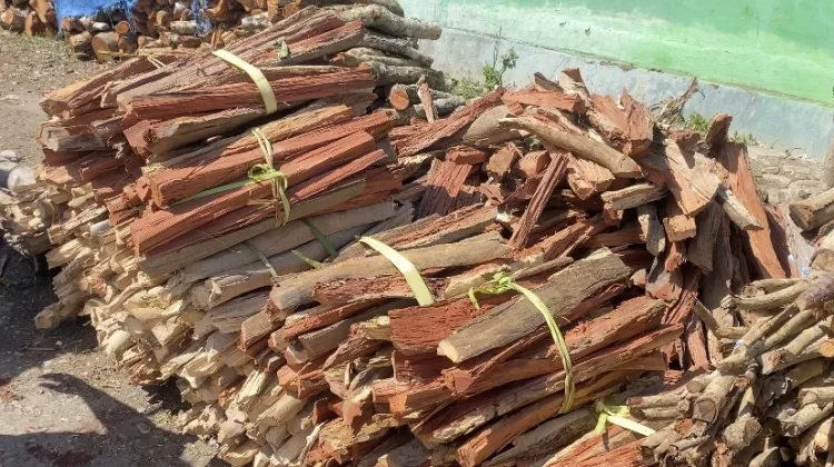 Minyak Tanah Langka dan Gas Mahal, Penjual Kayu Bakar Raup Keuntungan