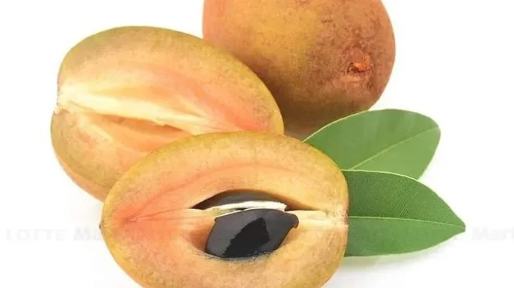 Minat Masyarakat Belu terhadap Buah Sawo Masih Tinggi