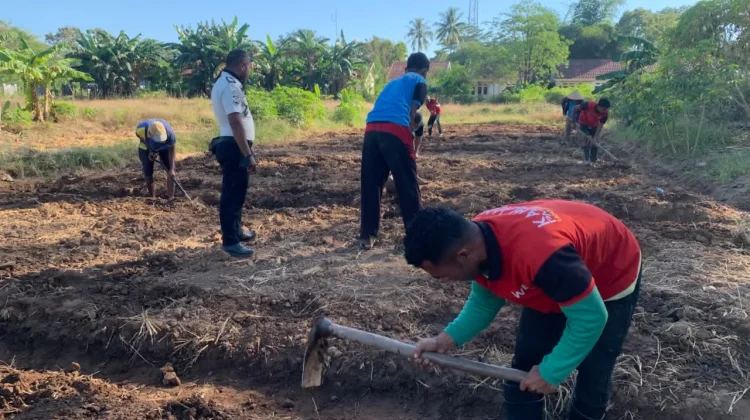Lapas Atambua Kembangkan Lahan Produktif  Bersama Warga Binaan