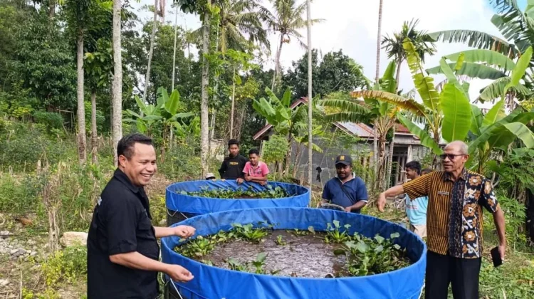 Pemerintah Daerah Dorong Pemanfaatan Curah Hujan