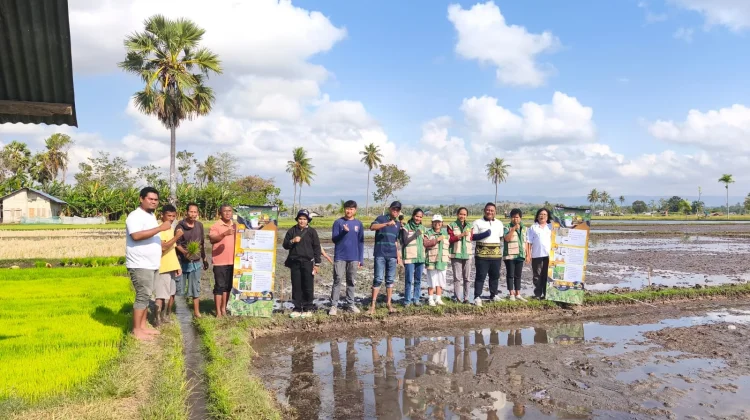 Petani Didorong Terapkan Sistem Ramah Lingkungan