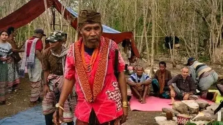 Warisan Leluhur Tunbaba: Membaca Bahasa Alam untuk Pertanian Berkelanjutan