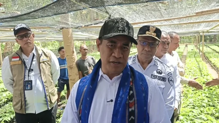 Kepala Bapanas dan Dirut Bulog Turun Langsung Serahkan Bantuan Pangan Alor