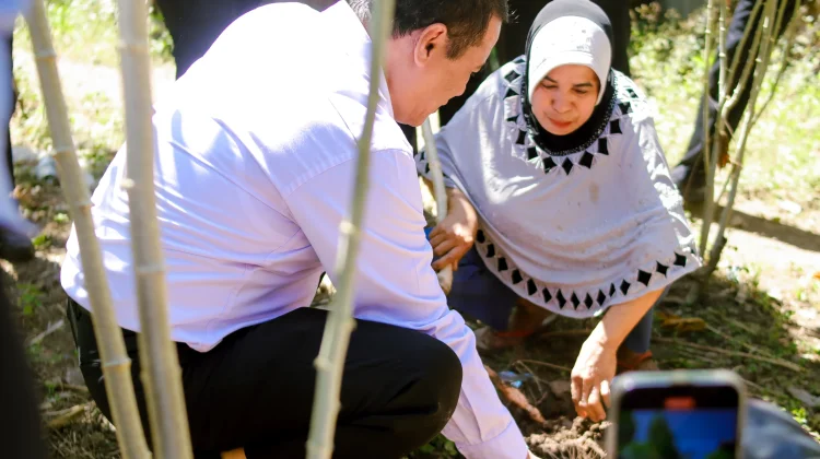 Mentan RI Targetkan Pengembangan 10 Ribu Hektare Pertanian di Alor