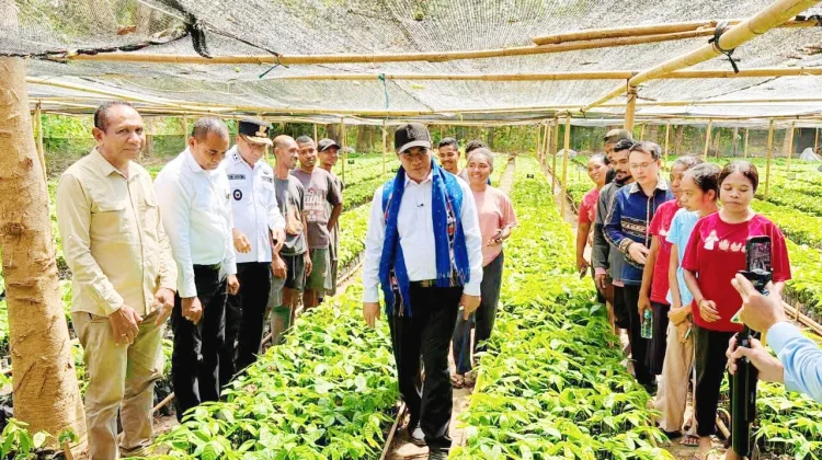 Mentan RI Dorong Pertanian Alor Jadi Strategi Pengentasan Kemiskinan