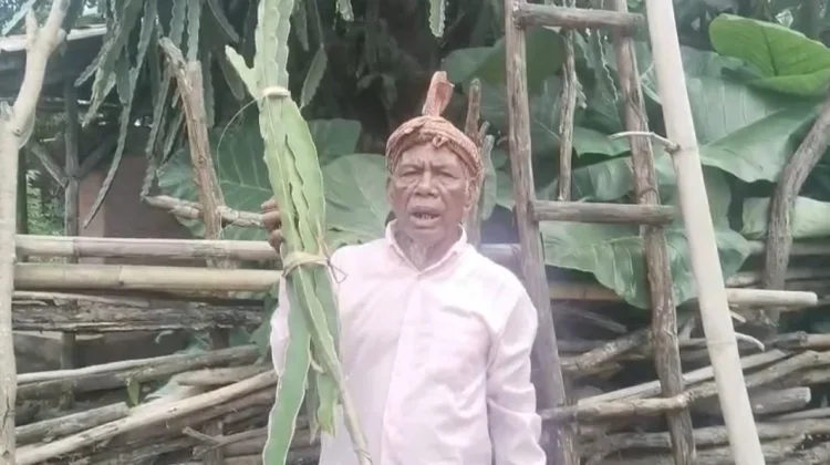 Petani Desa Leosama Peroleh Pendapatan Ekonomi Keluarga Budidaya Buah Naga
