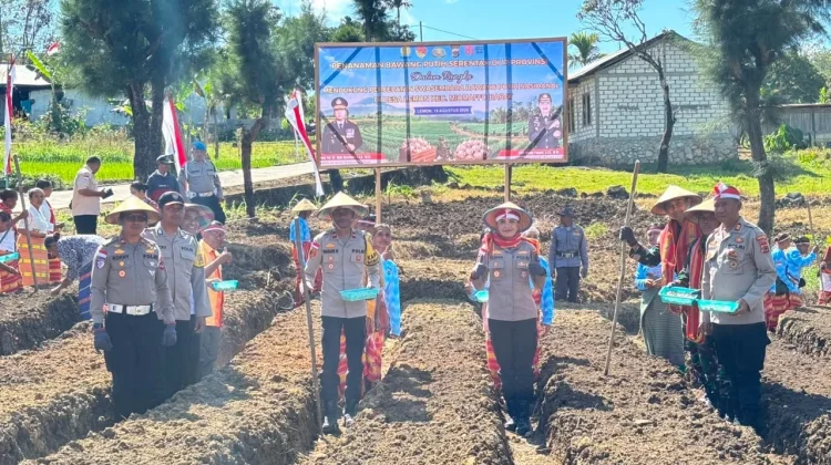 Dukung Swasembada Pangan Kapolres TTU Tanam Bawang Putih di Desa Lemon