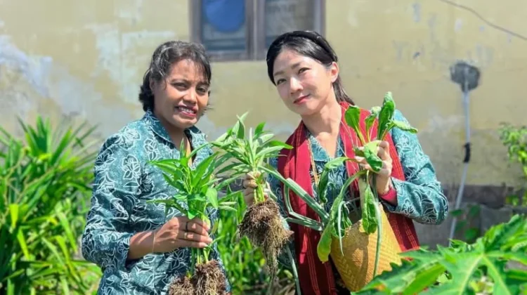 Alor Perkuat Pencegahan Stunting Berbasis Pangan Lokal