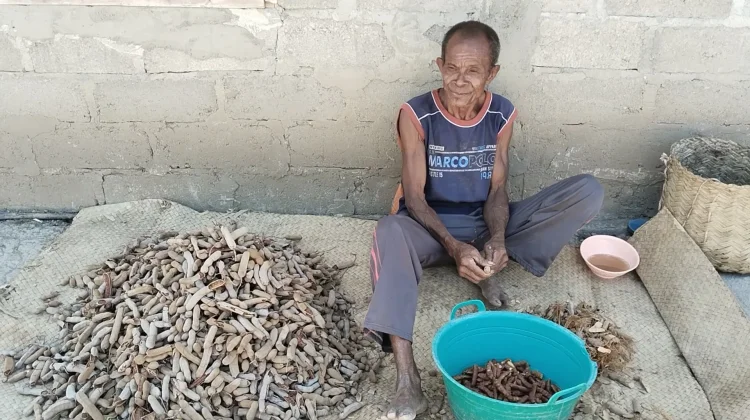 Tuntutan Hidup Warga Tani di Belu Berjualan Asam Peroleh Tambahan Pendapatan