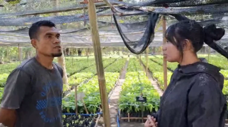 Anak Muda Diajak Melihat Pertanian Sebagai Peluang Usaha Masa Depan