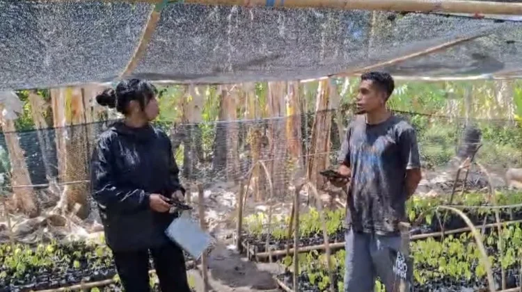 Kelompok Kakao Fanating Harapkan Pendampingan Penyuluh untuk Perkembangan