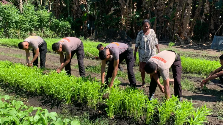 Brimob Kompi 4 Alor Dorong Ketahanan Pangan Melalui Kegiatan Produktif