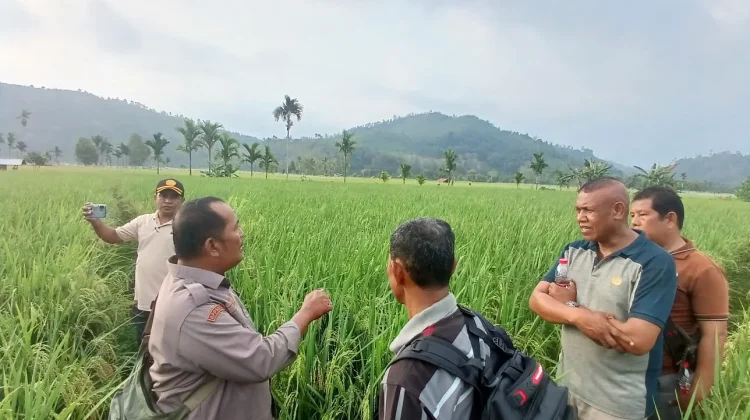 Pertanian Sektor Strategis Perkuat Ketahanan Pangan