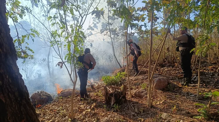 Personil Polres TTU Mampu Padamkan Kebakaran Hutan di Keun-Manufui