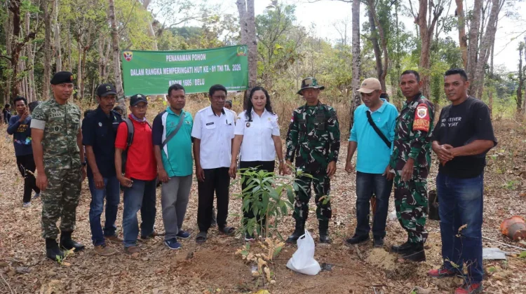 Peringati HUT TNI ke-81, Kodim 1605/Belu Hijaukan Hutan Jati Nenuk