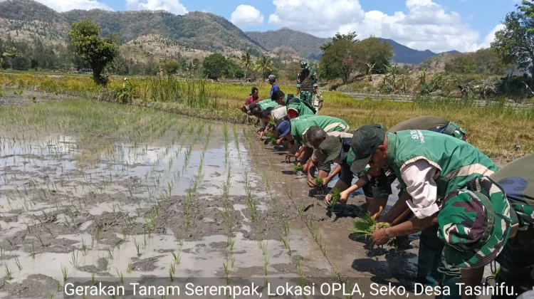 PPL TTU Dorong Petani Hadapi Perubahan Iklim
