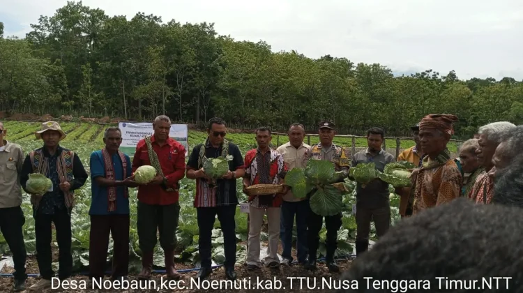 Teknologi Hemat Air Dukung Produksi Hortikultura TTU