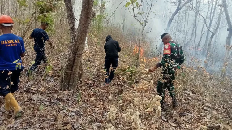 TNI-Damkar Berhasil Padamkan Kebakaran di Hutan Jati Nenuk