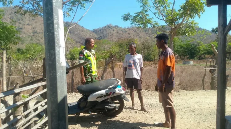 Babinsa Atapupu Ajak Warga Perketat Keamanan Ternak di Musim Kemarau