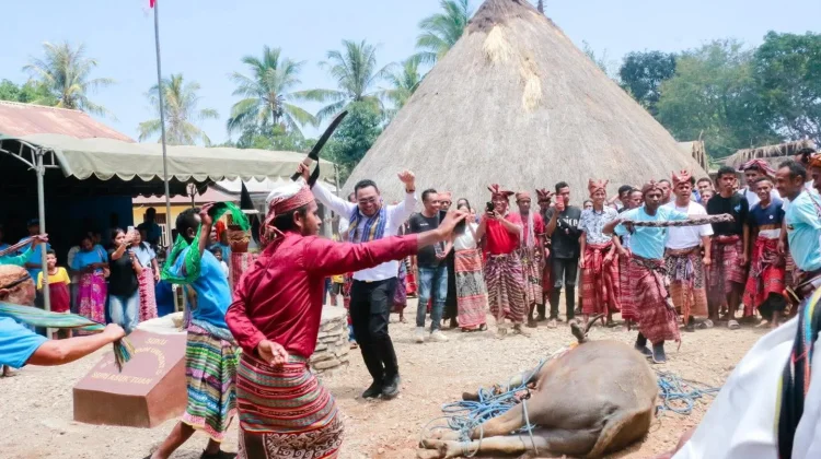 Wabup Belu Hadiri Peresmian Rumah Adat Salakwain