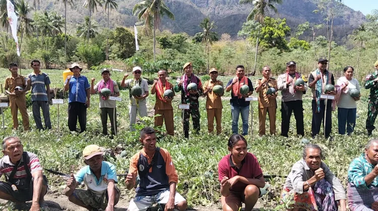 Himpunan Kerukunan Tani TTU Jembatani Petani Semangka di Manamas