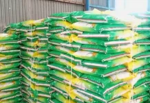 Bulog Kalabahi Pastikan Stabilitas Harga lewat Pasar Murah