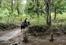 Jalan Tanah Berlumpur Warga Umanen Belu Sulit Beraktifitas