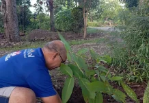 Budidaya Tanaman, Investasi Jangka Panjang Keluarga
