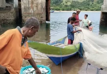 Cuaca Ekstrem Tangkapan Ikan Nelayan Belu Berkurang