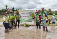 Petani Sawah Menghapi Kendala KekuranganAir