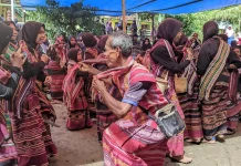 Generasi Muda Didorong Jaga Warisan Budaya Bampalola di Era Digital