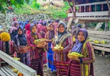 Bahasa Ibu Bampalola Tetap Terjaga di tengah Arus Modernisasi
