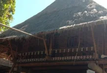 Rumah Adat Lakatuil Simbol Persatuan Masyarakat Bampalola Alor