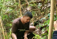 Pangan Lokal, Benteng Ketahanan Pangan Daerah