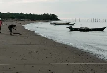 Cuaca Ekstrem, Nelayan Belu Menjaring Ikan di Lokasi Pesisir