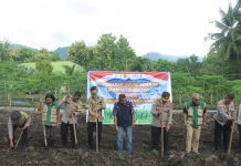 Polres Alor Dukung Swasembada Pangan dengan Tanam Jagung Serentak