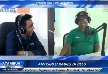 Kasus Rabies Kucing Pertama di Belu