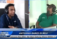 Dinas Peternakan Belu Lakukan Vaksinasi Masal usai Kasus Gigitan Kucing
