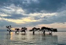Keindahan Senja di Pantai Tongke Lima Aimoli Alor