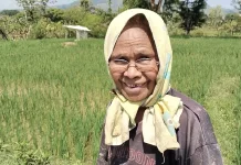 Warga Tani Belu Enggan Berutang Takut Terjerat Praktik Ijon Dijalankan Rentenir