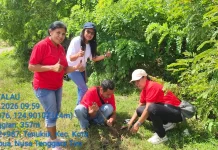 Musim Hujan, Momen Penghijauan Hutan