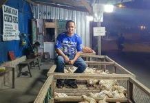 Strategi Pemasaran Ayam Broiler Ala Chicken King