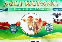 Produk Asli NTT, Pemasaran Era Modern