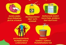 Gerakan 3M Dinilai Efektif Cegah Demam Berdarah saat Musim Hujan