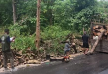 Kades Kateri Klarifikasi Dugaan Penebangan Hutan Lindung