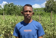 Kinerja PPL Desa Umaklaran Disorot, Minim Pendampingan Petani Bergerak Mandiri