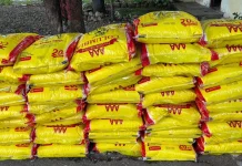 Satgas Yonarmed 12 Kostrad Amankan Beras Ilegal Dari Timor Leste