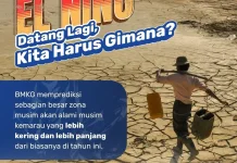 BMKG: Waspada! El Nino 2026 Datang Lebih Cepat Tahun Ini