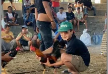 Pemberdayaan Masyarakat, Upaya Hilangkan Praktik Judi