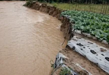 Longsor Ancam Lahan Kelompok Tani Sehati di Tublopo